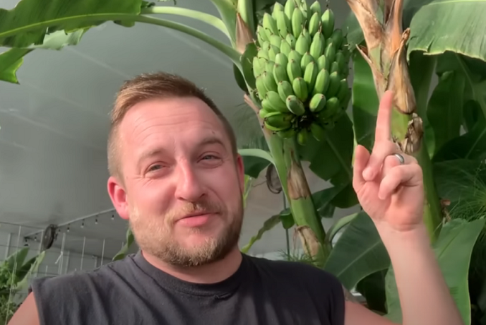 Growing Bananas in -30C in Canada in a Passive Solar Greenhouse
