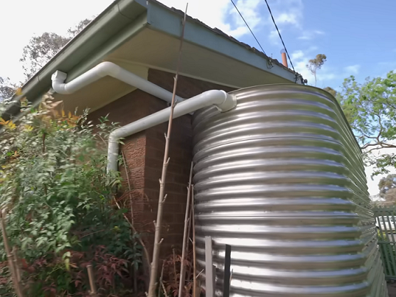 The Self Watering garden: How to Create a Passive Rainwater System with Dr Cally Brennan